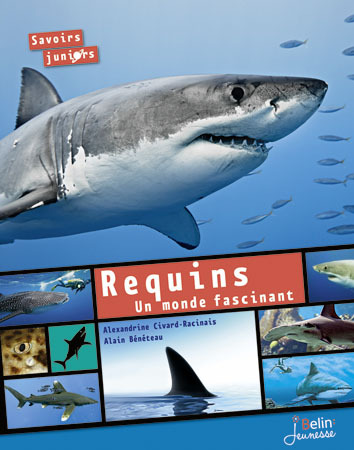 REQUINS - UN MONDE FASCINANT