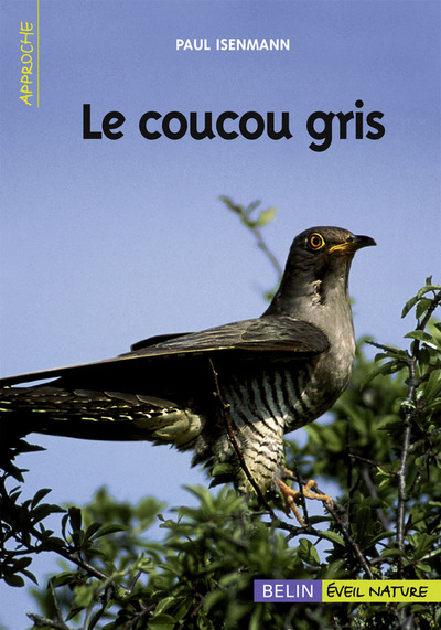 COUCOU GRIS