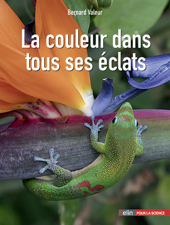 COULEUR DANS TOUS SES ECLATS