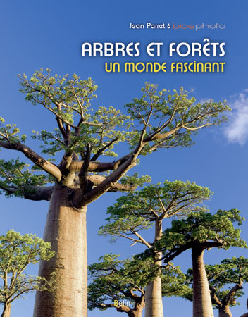 ARBRES ET FORETS UN MONDE FASCINANT