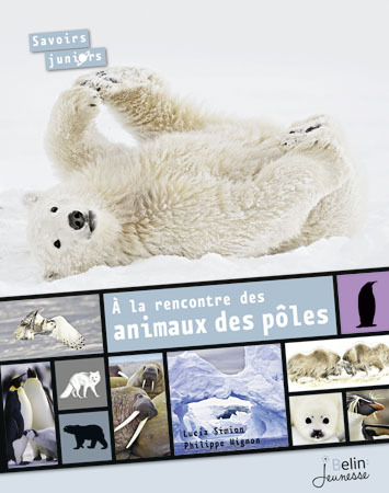 A LA RENCONTRE DES ANIMAUX DES POLES - SAVOIRS JUNIORS