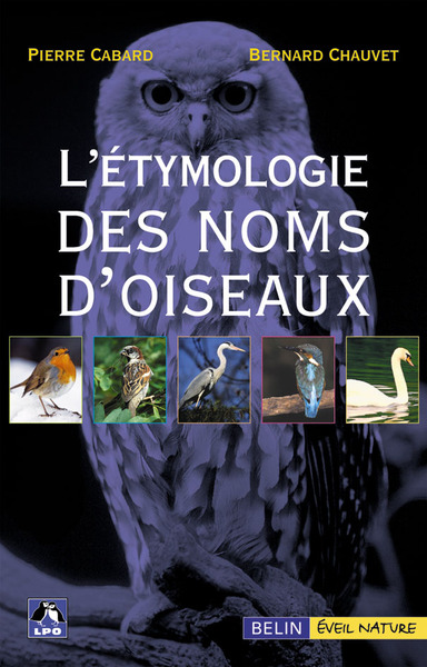 ETYMOLOGIE DES NOMS D'OISEAUX