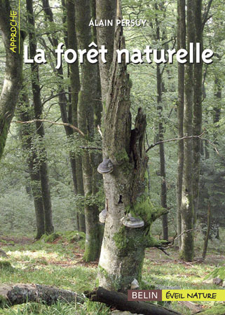 FORET NATURELLE