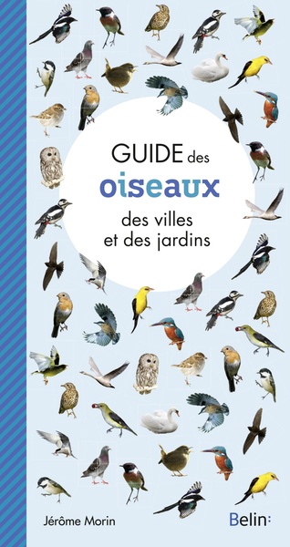 GUIDE DES OISEAUX DES VILLES ET JARDINS