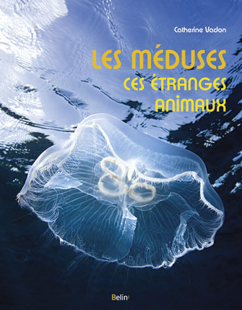 MEDUSES