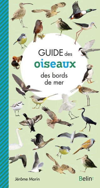 GUIDE DES OISEAUX DES BORDS DE MER
