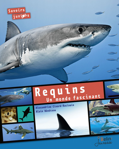 REQUINS. UN MONDE FASCINANT (NE)
