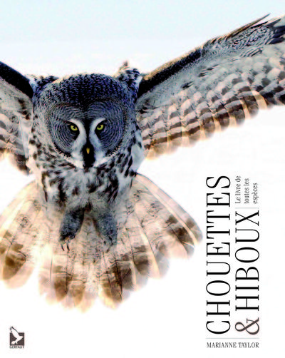 CHOUETTES ET HIBOUX ,LIVRE DE TOUTES ESPECES