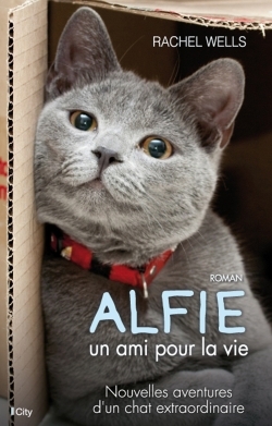 POD - COMPTE FERME !!!!!!!!!!!!!!!!  ALFIE, UN AMI POUR LA VIE