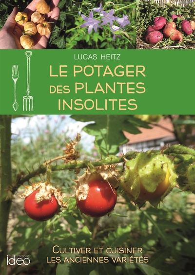 POTAGER DES PLANTES INSOLITES