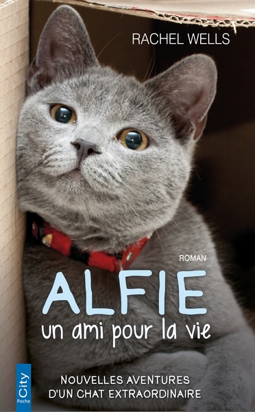 ALFIE, UN AMI POUR LA VIE