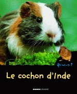 COCHON D'INDE (LE)