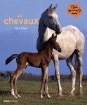 CHEVAUX (LES)