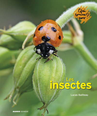 INSECTES