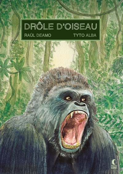 DROLE D´OISEAU
