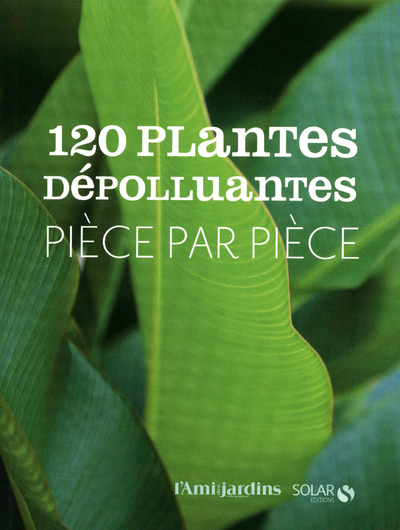 120 PLANTES DEPOLLUANTES