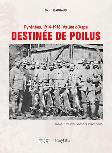 DESTINEE DE POILUS - PYRENEES 1914-1918, VALLEE D´ASPE
