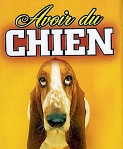 AVOIR DU CHIEN