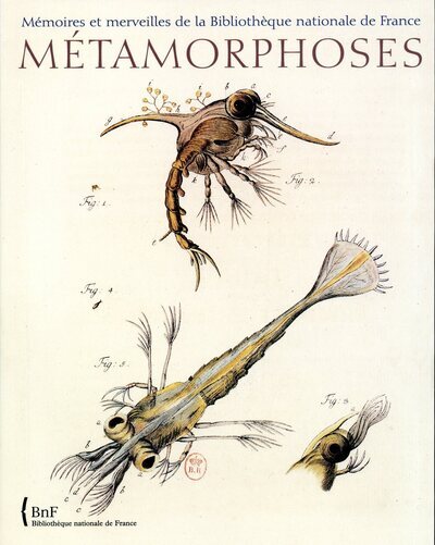 METAMORPHOSES