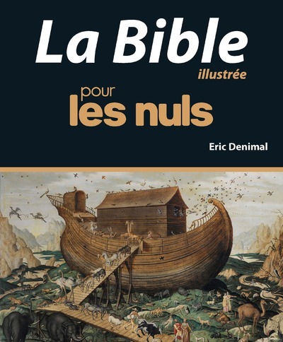 BIBLE ILLUSTREE POUR LES NULS, NOUVELLE EDITION