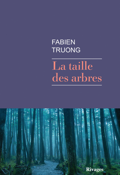 TAILLE DES ARBRES