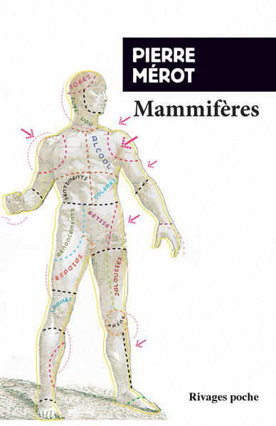 MAMMIFERES