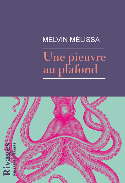 PIEUVRE AU PLAFOND