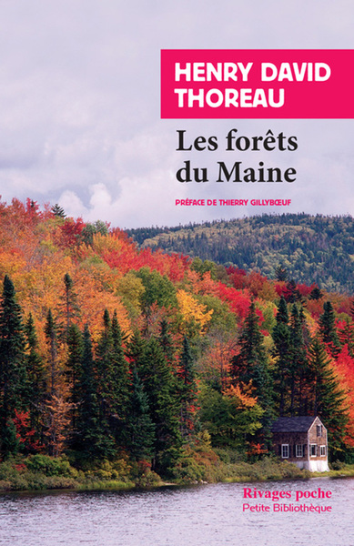 FORETS DU MAINE