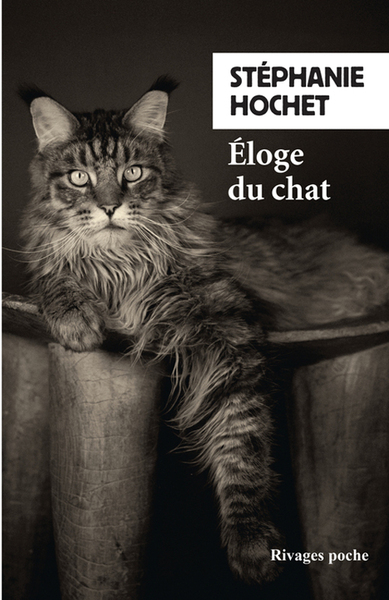 ELOGE DU CHAT.