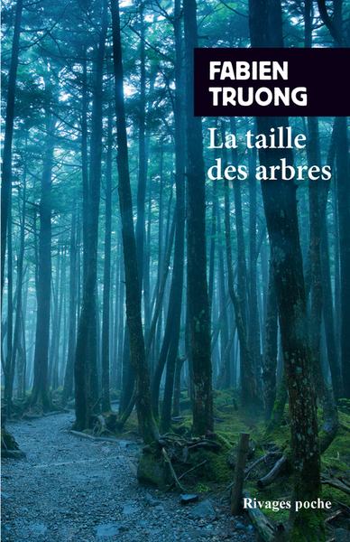 TAILLE DES ARBRES