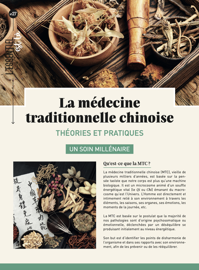 MEDECINE TRADITIONNELLE CHINOISE - THEORIES ET PRATIQUES UN SOIN MILLENAIRE