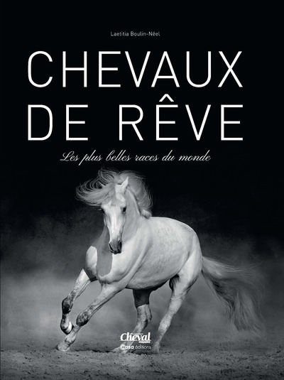 CHEVAUX DE REVES