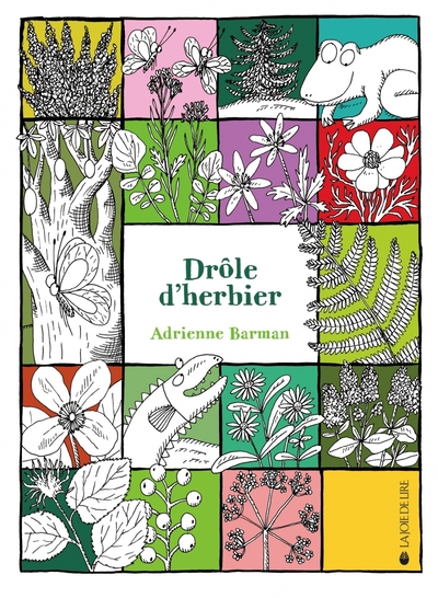 DROLE D´HERBIER