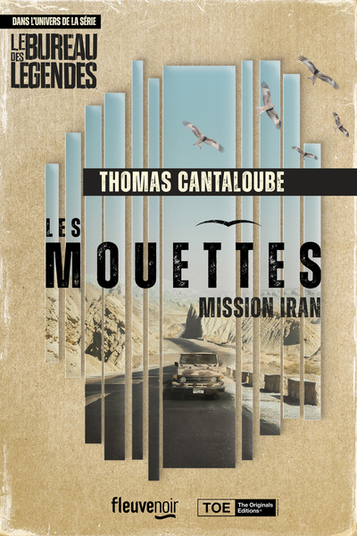 MOUETTES - MISSION IRAN