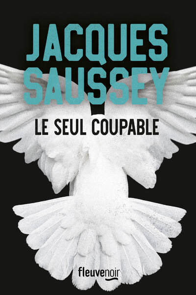 SEUL COUPABLE