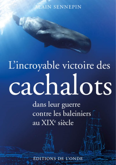 L´INCROYABLE VICTOIRE DES CACHALOTS DANS LEUR GUERRE CONTRE LES BALEINIERS AU XIXE SIECLE