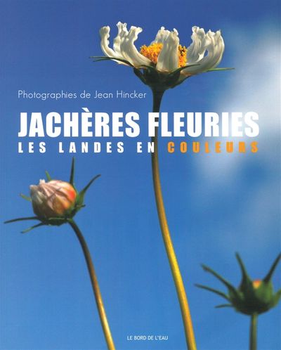 JACHERES FLEURIES,LES LANDES EN COULEURS
