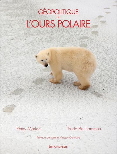 GEOPOLITIQUE DE L´OURS POLAIRE