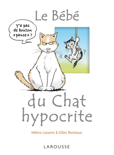 BEBE DU CHAT HYPOCRITE