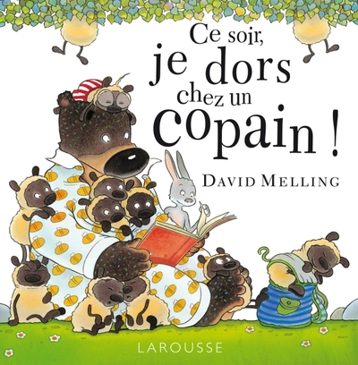 CE SOIR, JE DORS CHEZ UN COPAIN !