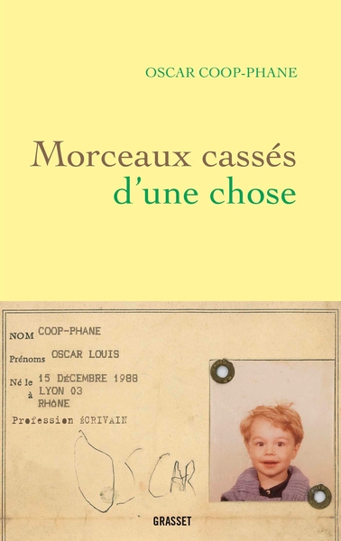 MORCEAUX CASSES D´UNE CHOSE