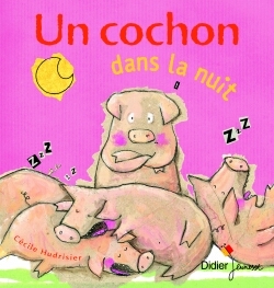 COCHON DANS LA NUIT -DIDIER