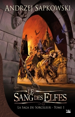 SAGA DU SORCELEUR T1 SANG DES ELFES