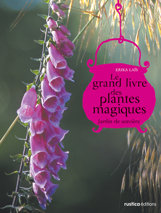 GRAND LIVRE DES PLANTES MAGIQUES: JARDIN DE SORCIERE (LE)