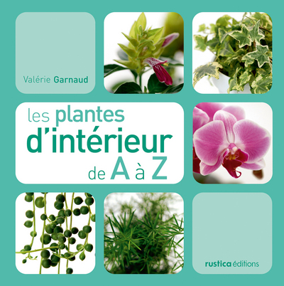 PLANTES D´INTERIEUR DE A A Z (LES)