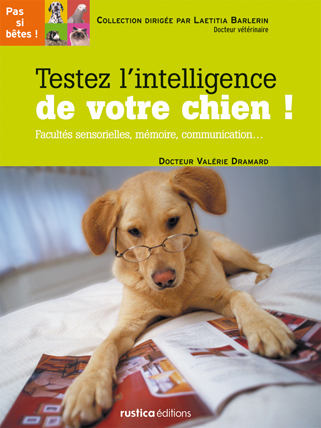 TESTEZ L'INTELLIGENCE DE VOTRE CHIEN !