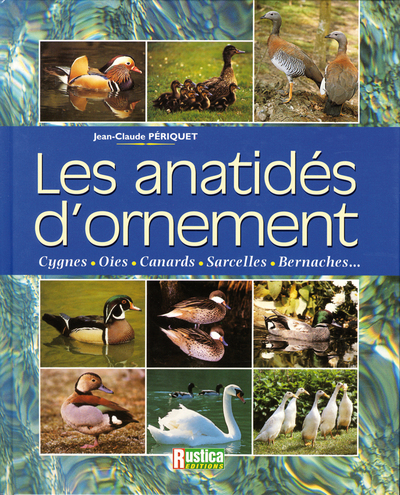 ANATIDES D'ORNEMENT (LES)