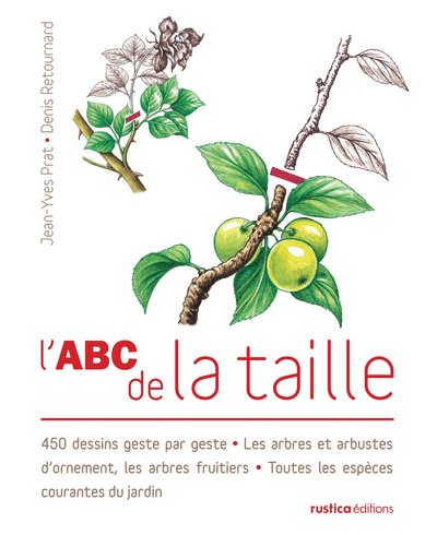 ABC DE LA TAILLE