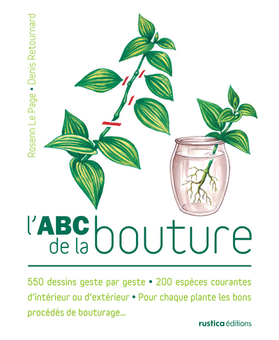 ABC DE LA BOUTURE