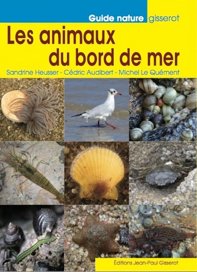 ANIMAUX DU BORD DE MER